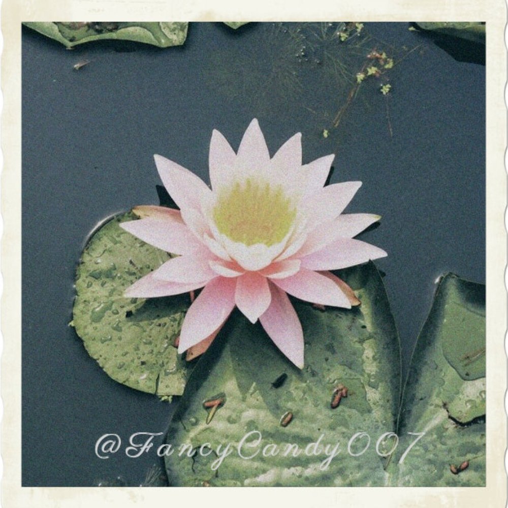 Enjoy the beauty in life!